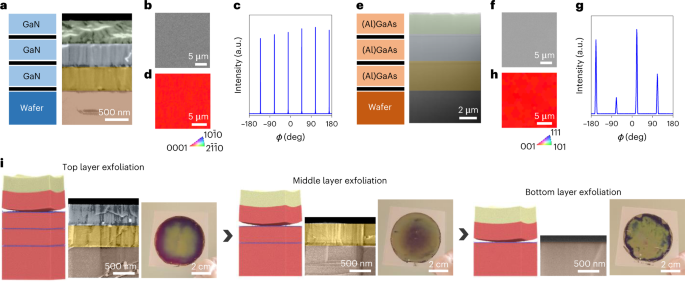 High-throughput manufacturing of epitaxial membranes from a single 