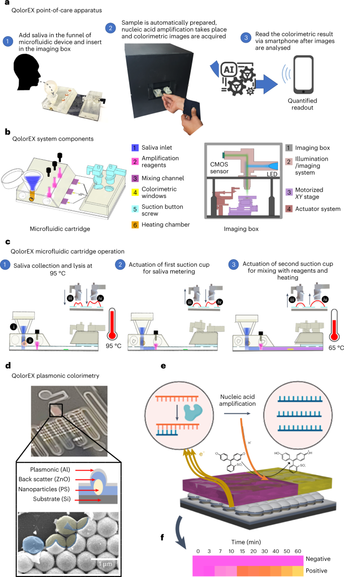 Fig. 1: QolorEX rapid quantitative testing for point-of-care respiratory infection identification.