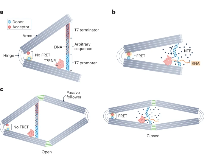 Powering a DNA origami nanoengine with chemical fuel