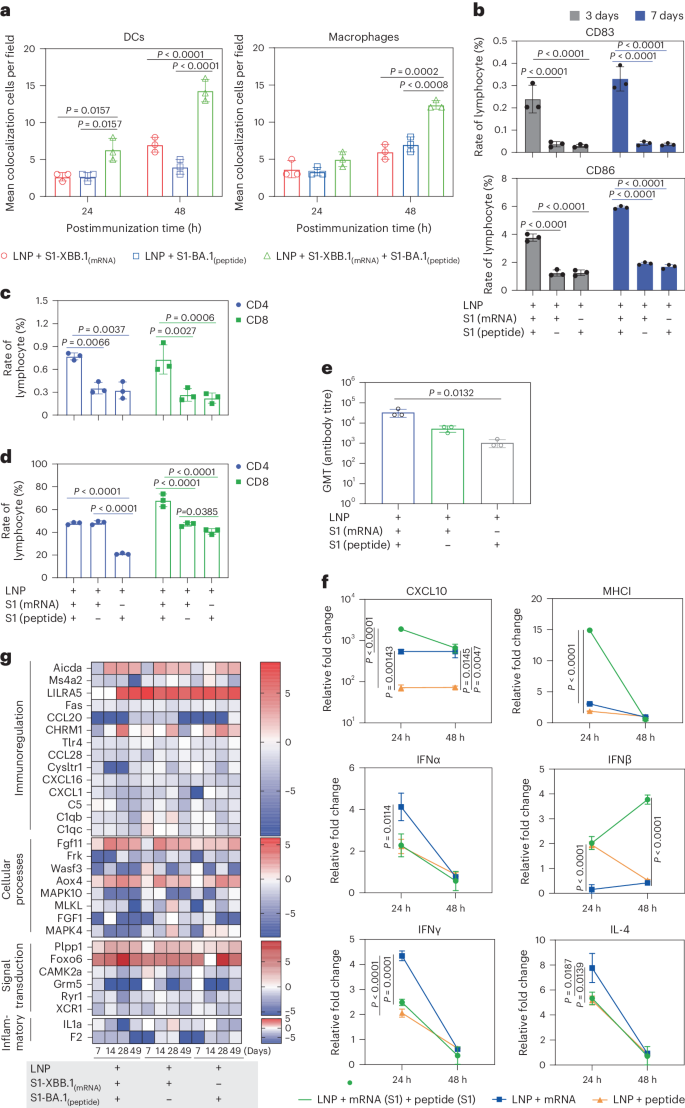 antigen processing and presentation nature review figure 4