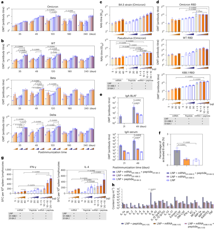 antigen processing and presentation nature review figure 5