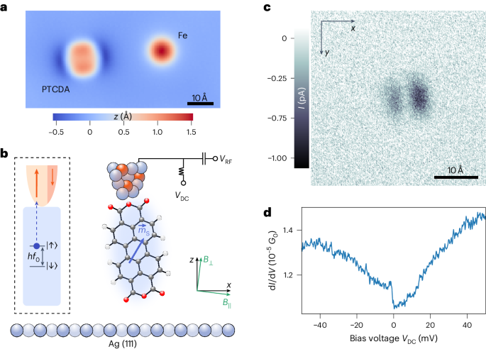 国際科学共同研究により原子世界のための量子センサーを開発(Quantum Sensor for the Atomic World Developed through International Scientific Collaboration)