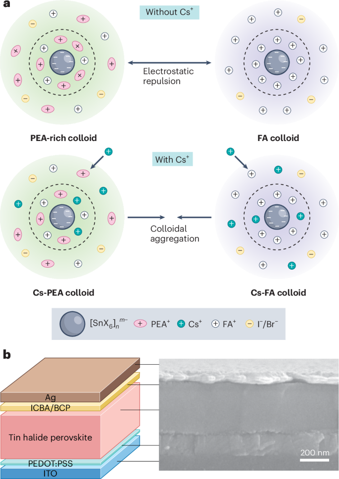 Colloidal chemistry in tin perovskite | Nature Nanotechnology