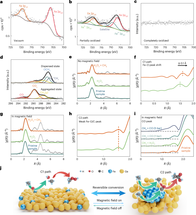 Fig. 4: In situ experiments and mechanism exploration.