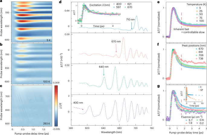 Fig. 1: Bulk FAPbI3 thin films exhibit ultrafast quantum transients.