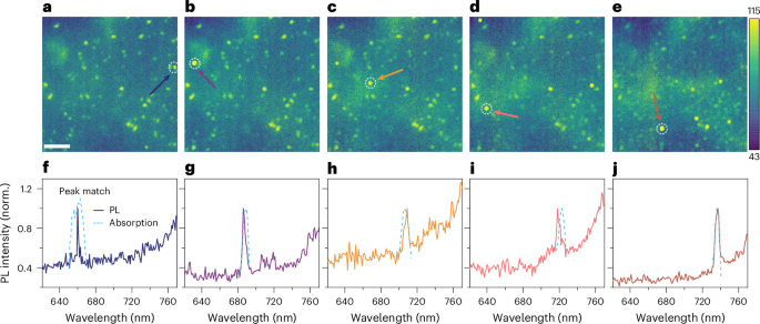 Fig. 2: Bulk FAPbI3 thin films exhibit isolated sites of quantum emission with extremely narrow linewidths.