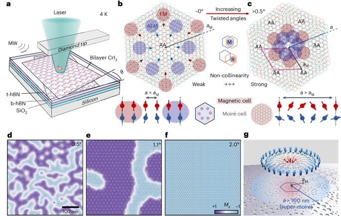 Fig. 1: Evolution of competing magnetic orders in tDB CrI3.