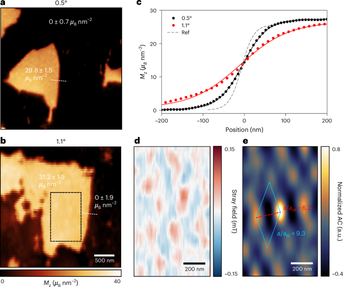 Fig. 2: Emergent FM domain with correlated textures in tDB CrI3.