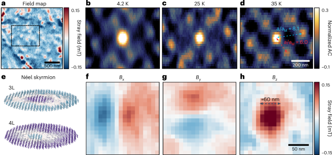 Fig. 4: Emergence of AFM Néel-type skyrmions in tDB CrI3.