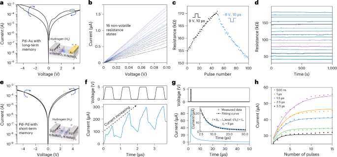 Fig. 2: Device characteristics of non-volatile Pd–Au and dynamic transient Pd–Pd devices.