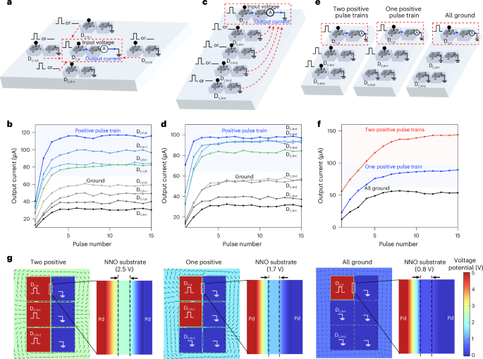 Fig. 3: Spatial interactions between Pd–Pd nickelate devices.
