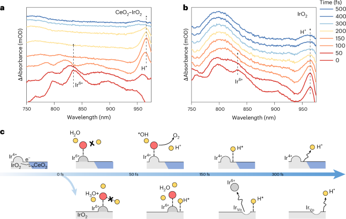 Fig. 5: Ultrafast reaction mechanism of CeO2–IrO2.
