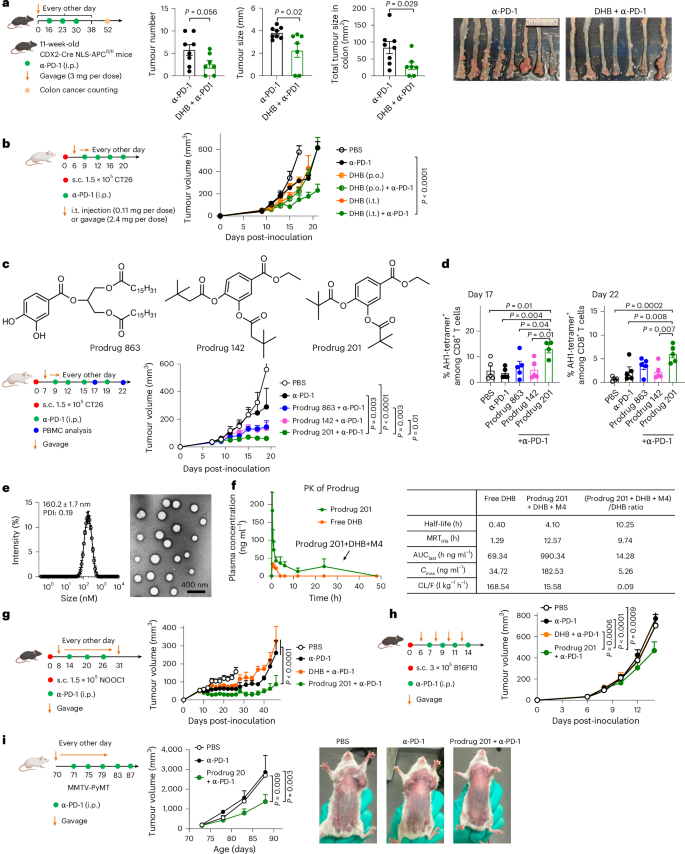 Oral nano-delivery of a gut microbial metabolite enhances T cell stemness for cancer immunotherapy