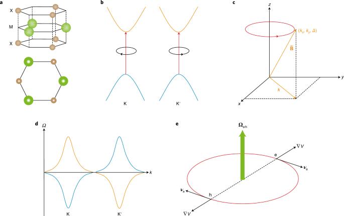 Light Valley Interactions In 2d Semiconductors Nature Photonics