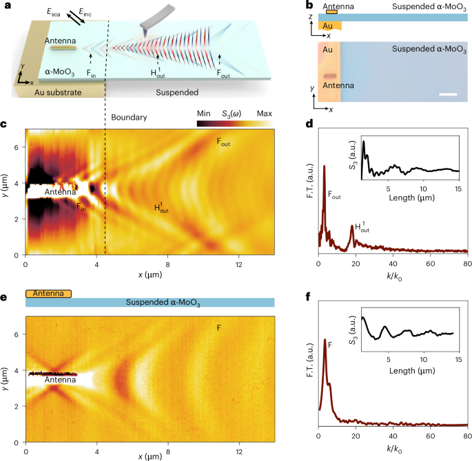 Boundary-induced excitation of higher-order hyperbolic phonon ...