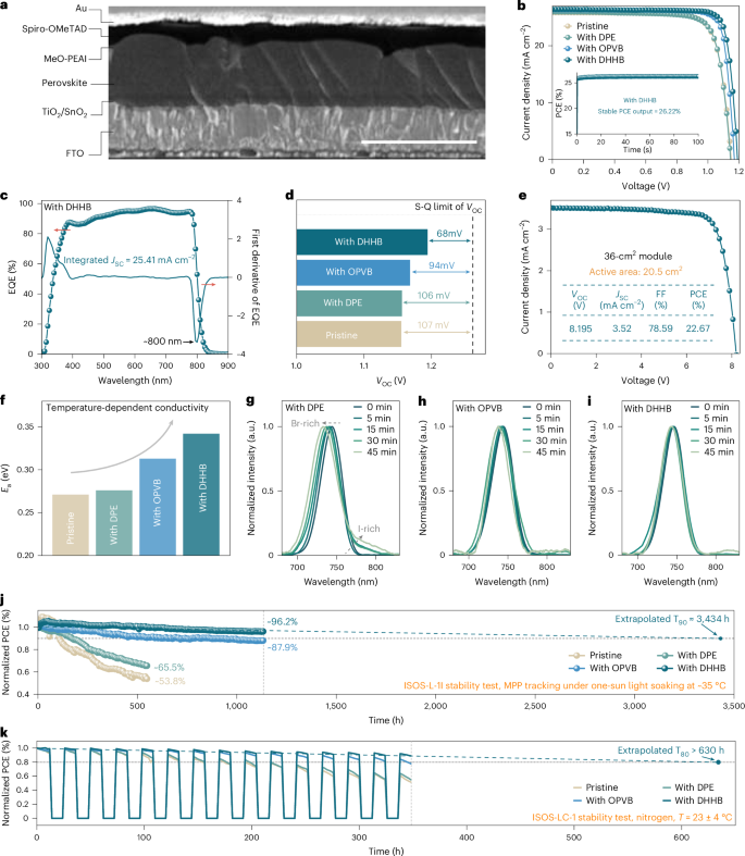 In situ dynamic regulation of strain at the buried interface of stable ...