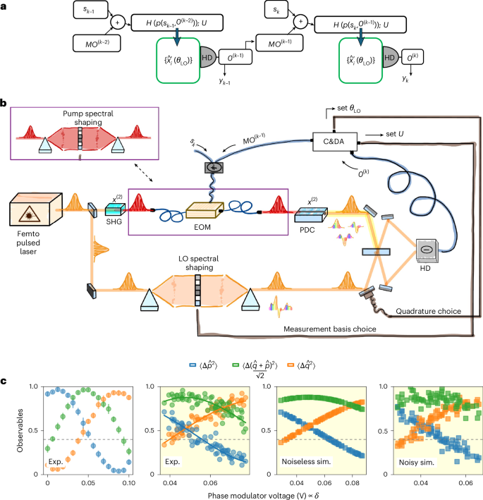 Fig. 1: QRC: protocol, set-up and observable dynamics.