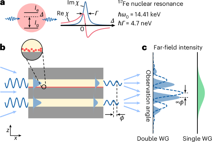 Fig. 1: Principle of a double-waveguide interferometer.