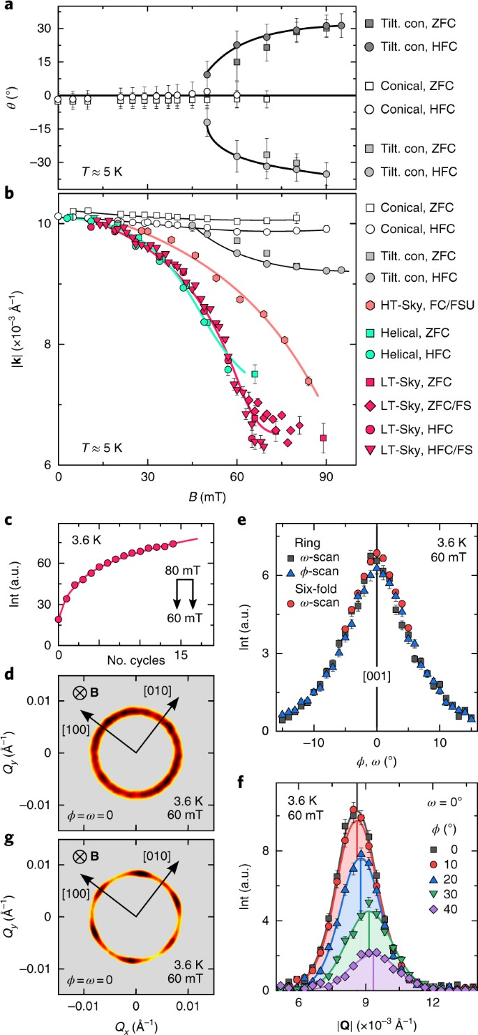 Observation Of Two Independent Skyrmion Phases In A Chiral Magnetic Material Nature Physics