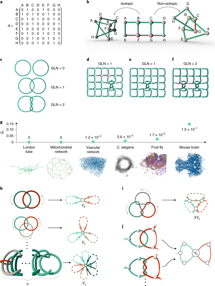 Isotopy And Energy Of Physical Networks Nature Physics