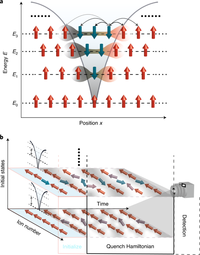 Domain Wall Confinement And Dynamics In A Quantum Simulator Nature Physics