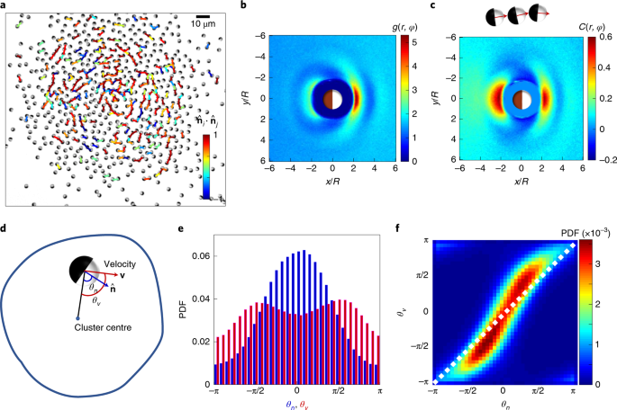 Active Phase Separation Turning Towards Regions Of Higher Density Nature Physics