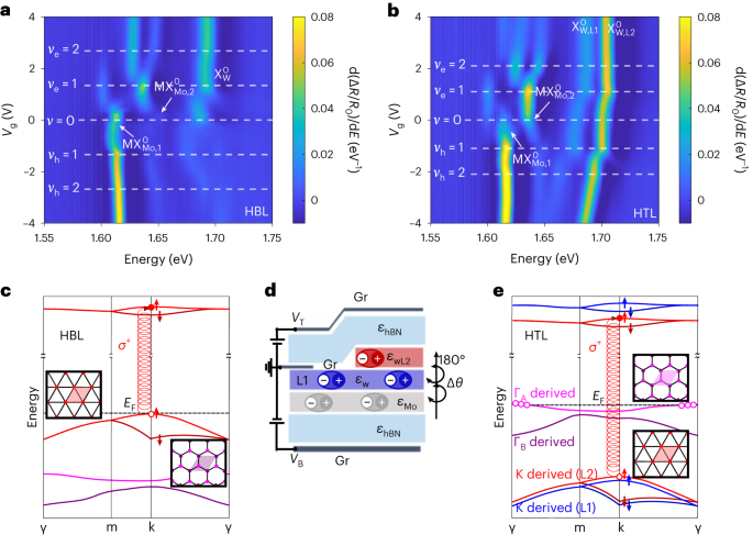 Fig. 1: Layer and valley properties of excitons and holes in a moiré HTL device.