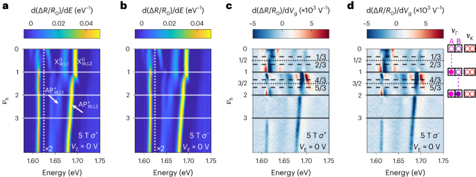 Fig. 2: Γ-valley correlated hole states in the moiré HTL.