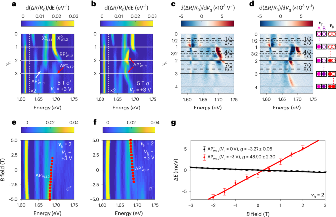 Fig. 3: Inducing spin and valley polarization in K orbitals with 
                      
                        
                      
                      $$\overrightarrow{E}$$
                      
                        
                          
                            E
                          
                          →
                        
                      
                    .