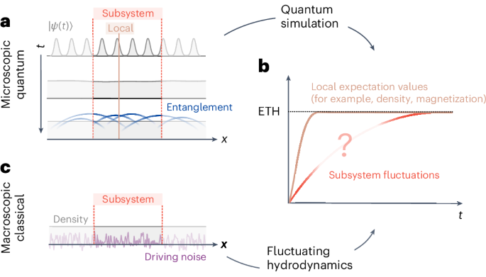 量子物理学：カオス系の記述(Quantum physics: describing chaotic systems)