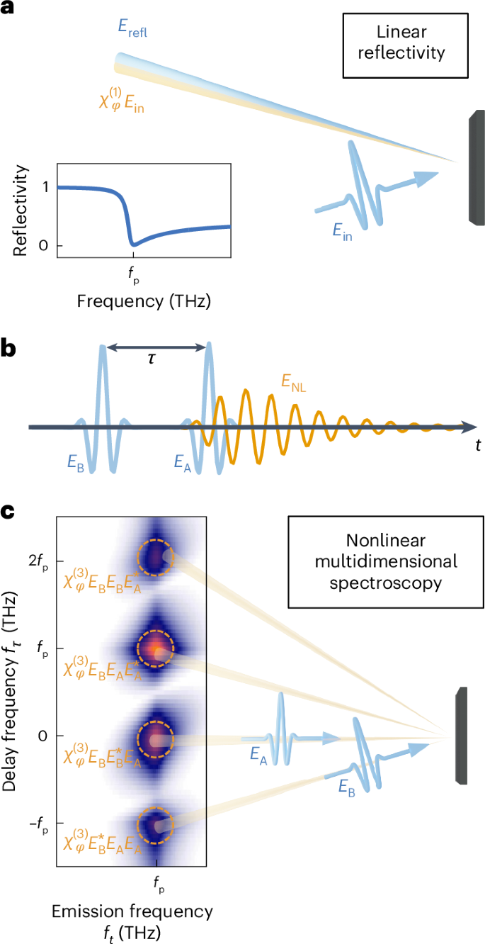 Fig. 1: Linear and nonlinear spectroscopies of plasma resonances.