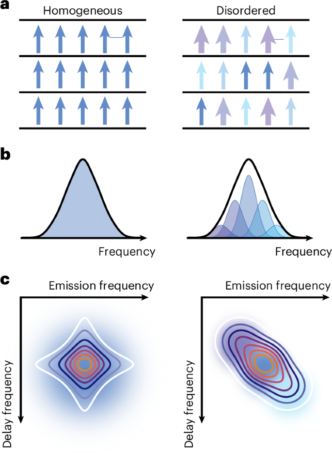 Fig. 3: Disorder in schematic one- and two-dimensional spectra.