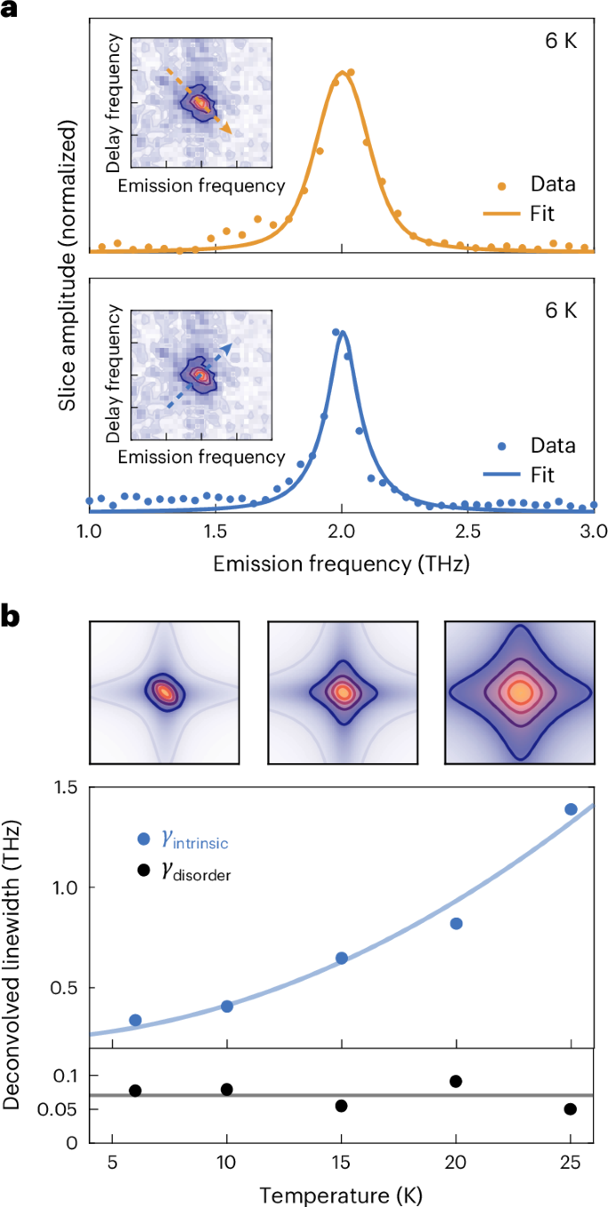 Fig. 5: Fitting the Josephson echo peak lineshape to extract intrinsic and disorder linewidths.