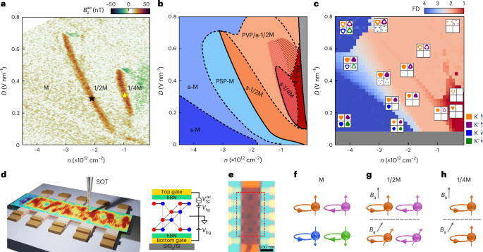Fig. 2: Symmetry-broken isospin phase diagram in ABCA graphene.