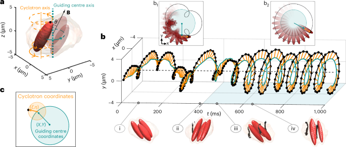 Fig. 1: Synchronization and concurrent vortex nucleation.