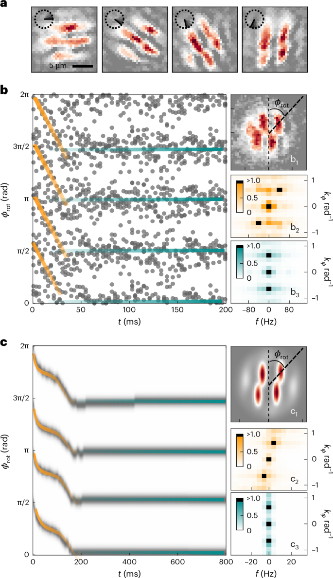 Fig. 4: Experimental observation of the synchronization process.