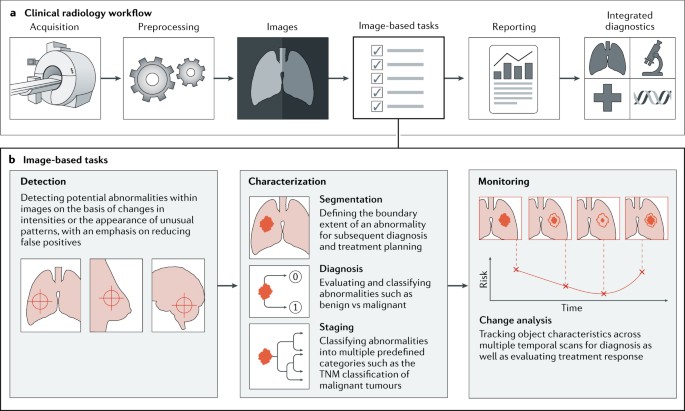 AI-powered interpretable imaging phenotypes noninvasively