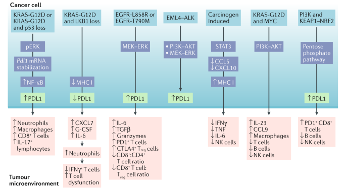 figure3