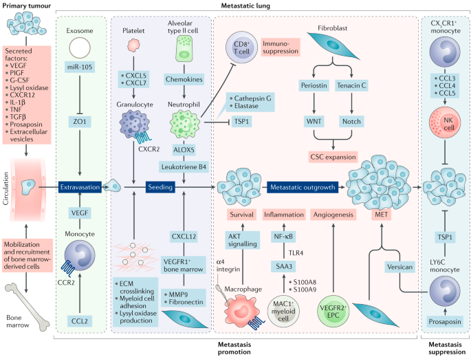 figure4