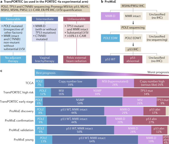 endometrial cancer review