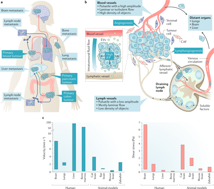 in tumour