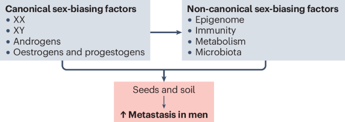 The impact of sex on metastasis | Nature Reviews Cancer