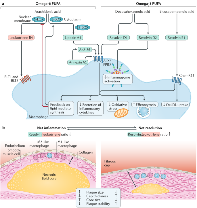 Inflammation its resolution in atherosclerosis: and opportunities Nature Reviews Cardiology