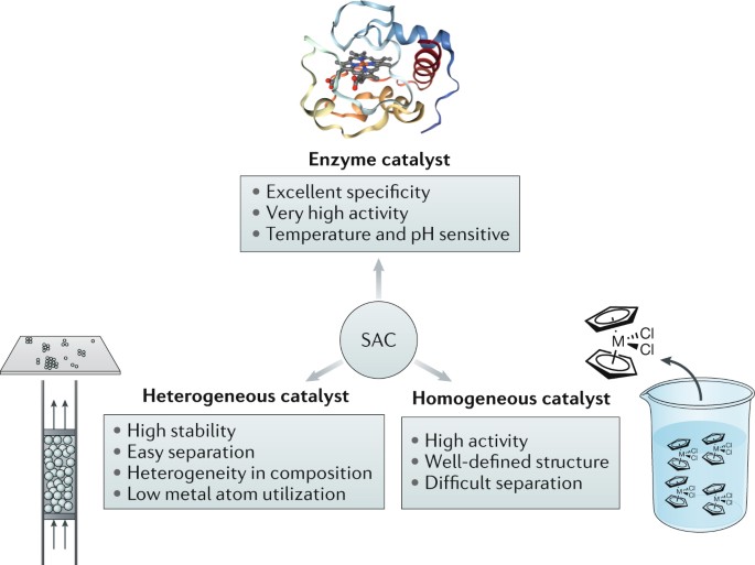 What Is The Difference Between A Homogeneous And A Heterogeneous Catalyst