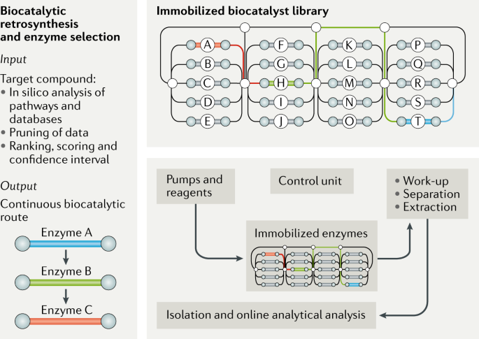 Extending The Application Of Biocatalysis To Meet The Challenges Of Drug Development Nature Reviews Chemistry