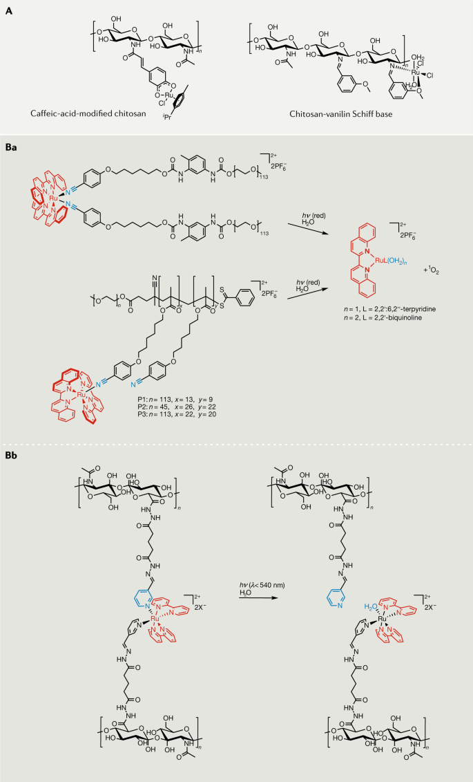 Polymer Encapsulation Of Ruthenium Complexes For Biological And Medicinal Applications Nature Reviews Chemistry