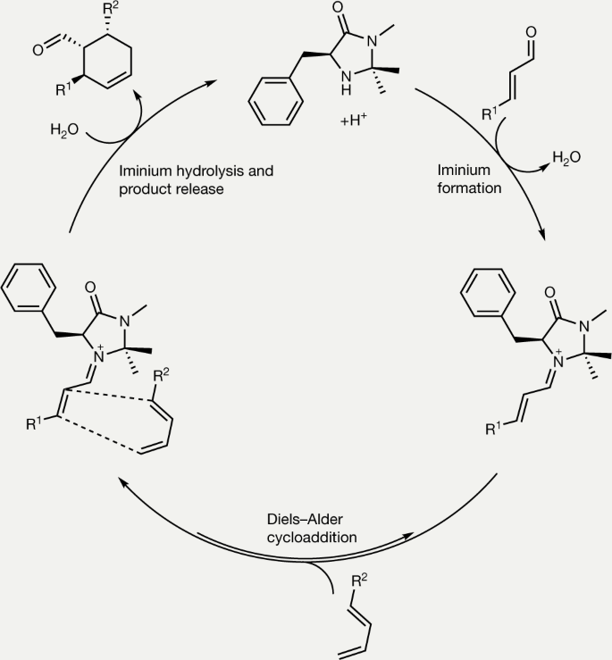 organocatalysis in aqueous media