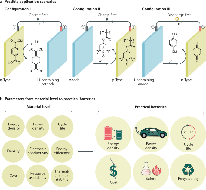 Prospects of organic electrode materials for practical lithium 