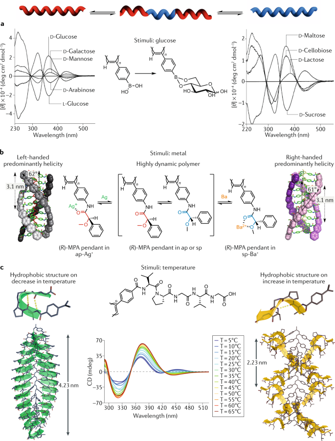 Helical Polymers For Biological And Medical Applications Nature Reviews Chemistry