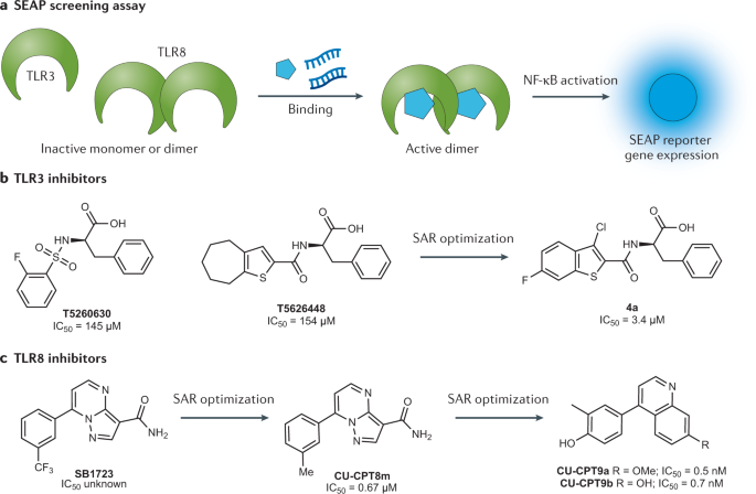 Inhibition of RNA-binding proteins with small molecules | Nature Reviews  Chemistry